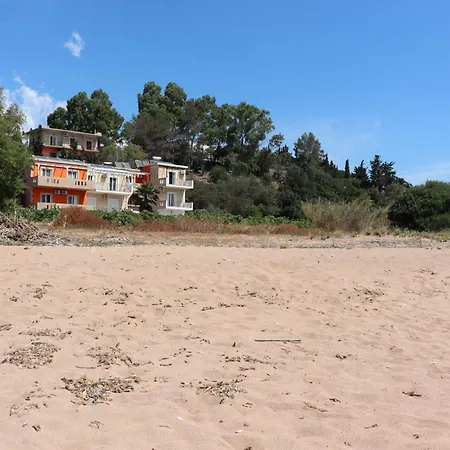 Memi View A3 * Koróni