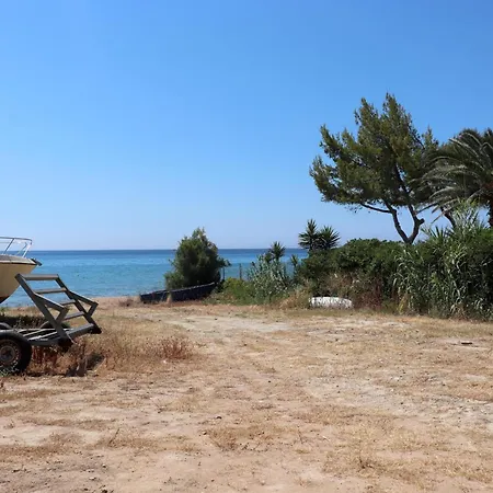Memi View A3 * Koróni